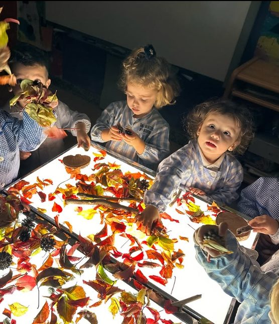 Educació Infantil